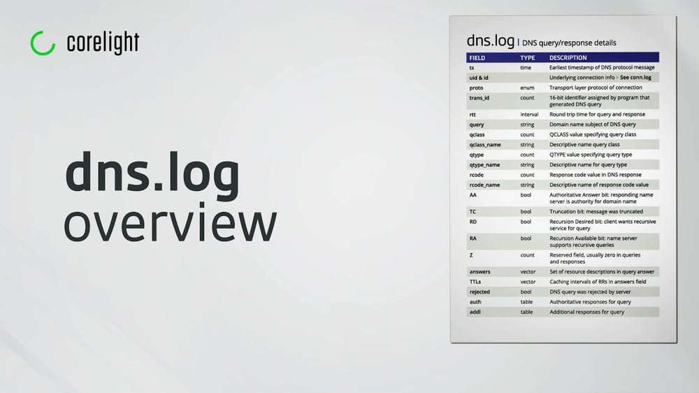 DNS Log Overview